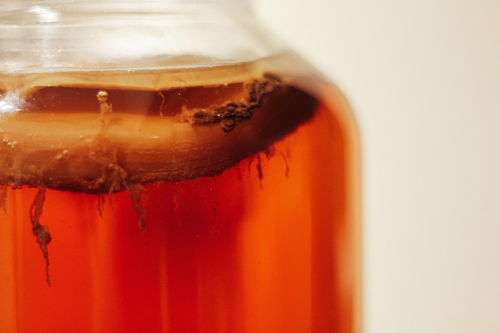 What are Probiotics?