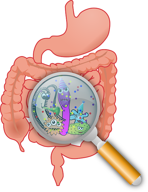 Signs You May Need Probiotics